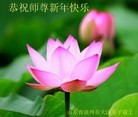 Published on 2/11/2013 ���ֹ�,��½�󷨵��ӹ�ףʦ������ã�21����
