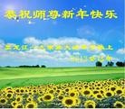 Published on 2/11/2013 ���ֹ�,���󷨵��ӹ�ףʦ�����ã�20����
