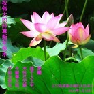 Published on 2/7/2013 ���ֹ�,�����д󷨵��ӹ�ףʦ�������(19��)
