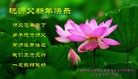 Published on 2/11/2013 ���ֹ�,���Ƿ���Ѻ�󷨵��ӹ�ףʦ������ã�21����
