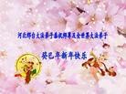 Published on 2/7/2013 ���ֹ�,�ӱ��󷨵��ӹ�ףʦ�������(30��)
