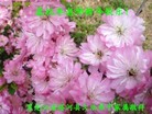 Published on 2/11/2013 ���ֹ�,���������ں͵��Ӽ�����ףʦ�����ã�14����
