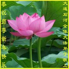 ���ֹ�,�����󷨵��ӹ�ףʦ�������(16��)
