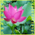 ���ֹ�,�����󷨵��ӹ�ףʦ�������(16��)
