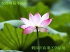 ���ֹ�,�������󷨵��ӹ�ףʦ�������(25��)
