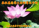 Published on 2/10/2013 ���ֹ�,��½�󷨵��ӹ�ףʦ������ã�32����
