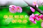 ���ֹ�,�人�󷨵��ӹ�ףʦ������ã�17����
