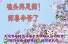 Published on 2/10/2013 ���ֹ�,��½�󷨵��ӹ�ףʦ������ã�32����
