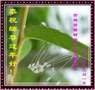 ���ֹ�,�����󷨵��ӹ�ףʦ������ã�29����
