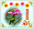 Published on 2/13/2013 ���ֹ�,����ҵ�󷨵��ӹ�ףʦ�����ã�46����
