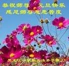 ���ֹ�,�������󷨵��ӹ�ףʦ��Ԫ������(21��)
