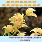 ���ֹ�,���ϴ󷨵��ӹ�ףʦ��Ԫ������(27��)
