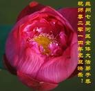 ���ֹ�,����󷨵��ӹ�ףʦ��Ԫ������(21��)
