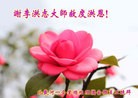 Published on 12/30/2013 ���ֹ�,���������˹�ףʦ��Ԫ������(22��)
