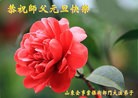 Published on 12/31/2013 ���ֹ�,��½���Ӵ󷨵��ӹ�ףʦ��Ԫ������(26��)

