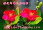 Published on 12/31/2013 ���ֹ�,��½���Ӵ󷨵��ӹ�ףʦ��Ԫ������(26��)
