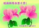 Published on 1/1/2014 ���ֹ�,С���ӹ�ףʦ��Ԫ������(20��)
