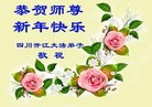 Published on 12/30/2013 ���ֹ�,��½�󷨵��ӹ�ףʦ��Ԫ������(27��)
