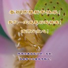 ���ֹ�,�����󷨵��ӹ�ףʦ��Ԫ������(25��)
