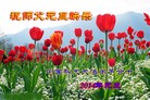Published on 12/31/2013 ���ֹ�,����ϵͳ�󷨵��ӹ�ףʦ��Ԫ������(26��)
