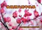 Published on 12/31/2013 ���ֹ�,��½�󷨵��ӹ�ףʦ��Ԫ������(64��)
