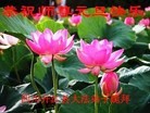Published on 12/31/2013 ���ֹ�,��½�󷨵��ӹ�ףʦ��Ԫ������(63��)

