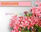 Published on 12/31/2013 ���ֹ�,����ϵͳ�󷨵��ӹ�ףʦ��Ԫ������(26��)
