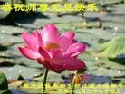 Published on 12/31/2013 ���ֹ�,��½�󷨵��ӹ�ףʦ��Ԫ������(64��)
