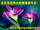 Published on 1/1/2014 ���ֹ�,��½�󷨵��ӹ�ףʦ��Ԫ������(47��)

