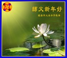 Published on 1/1/2014 ���ֹ�,��½�󷨵��ӹ�ףʦ��Ԫ������(39��)

