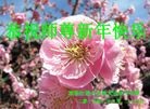 Published on 1/1/2014 ���ֹ�,��½�󷨵��ӹ�ףʦ��Ԫ������(39��)
