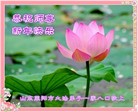 Published on 1/1/2014 ���ֹ�,��½�󷨵��ӹ�ףʦ��Ԫ������(39��)
