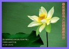 Published on 12/31/2013 ���ֹ�,��½�󷨵��ӹ�ףʦ��Ԫ������(50��)
