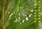 Published on 1/1/2014 ���ֹ�,��½�󷨵��ӹ�ףʦ��Ԫ������(51��)
