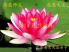 Published on 12/31/2013 ���ֹ�,��½�󷨵��ӹ�ףʦ��Ԫ������(50��)
