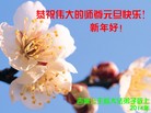 Published on 1/1/2014 ���ֹ�,��½�󷨵��ӹ�ףʦ��Ԫ������(31��)
