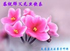 Published on 12/31/2013 ���ֹ�,��½�󷨵��ӹ�ףʦ��Ԫ������(49��)
