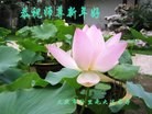 Published on 2/13/2013 ���ֹ�,��½�󷨵��ӹ�ףʦ��������֣�33����
