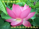 Published on 2/13/2013 ���ֹ�,��½�󷨵��ӹ�ףʦ��������֣�33����
