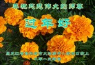 Published on 2/13/2013 ���ֹ�,��½�󷨵��ӹ�ףʦ��������֣�33����
