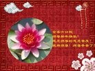 Published on 2/13/2013 ���ֹ�,��½�󷨵��ӹ�ףʦ��������֣�33����
