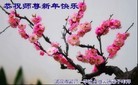 Published on 2/13/2013 ���ֹ�,��½�󷨵��ӹ�ףʦ��������֣�42����
