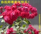 Published on 2/13/2013 ���ֹ�,��½�󷨵��ӹ�ףʦ��������֣�42����
