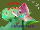Published on 2/13/2013 ���ֹ�,��½�󷨵��ӹ�ףʦ��������֣�33����
