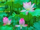 Published on 2/13/2013 ���ֹ�,��½�󷨵��ӹ�ףʦ��������֣�55����
