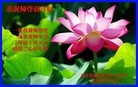 Published on 2/13/2013 ���ֹ�,��½�󷨵��ӹ�ףʦ��������֣�31����
