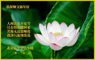 Published on 2/13/2013 ���ֹ�,��½�󷨵��ӹ�ףʦ��������֣�31����
