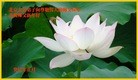 Published on 2/13/2013 ���ֹ�,��½�󷨵��ӹ�ףʦ��������֣�31����
