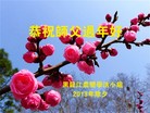 Published on 2/13/2013 ���ֹ�,��½�󷨵��ӹ�ףʦ��������֣�35����
