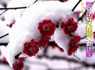 Published on 2/13/2013 ���ֹ�,��½�󷨵��ӹ�ףʦ��������֣�35����
